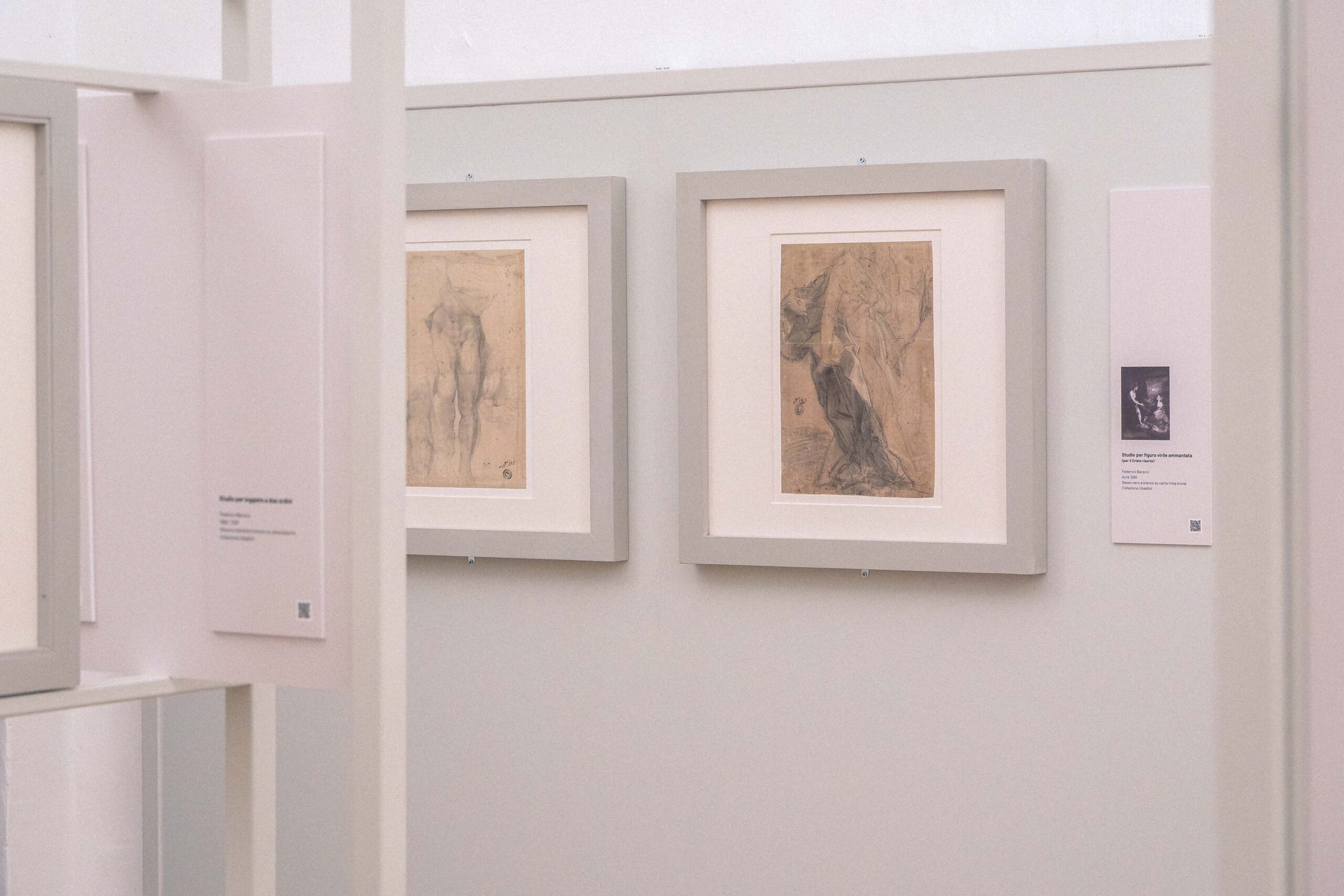 Mostra Federico Barocci Musei Civici Urbania